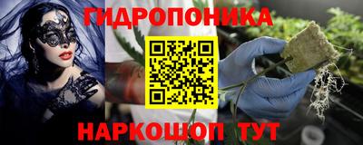 ECSTASY Краснодар