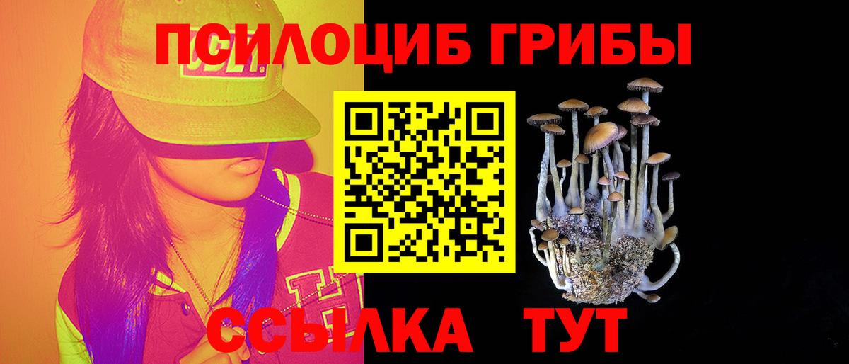 Псилоцибиновые грибы ЛСД Щёлково